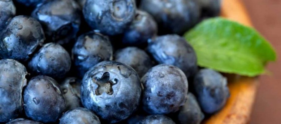 blueberries-antioxidants-acne